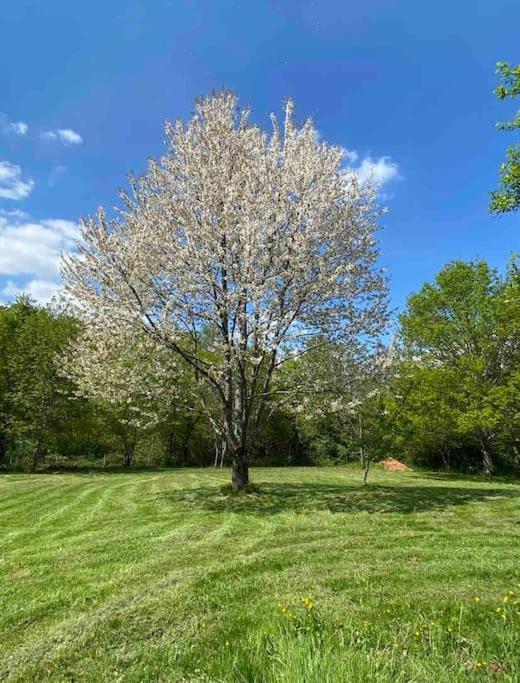 Spacious 1 Bed Home With Shared Pool Champagnac-la-Rivière Buitenkant foto